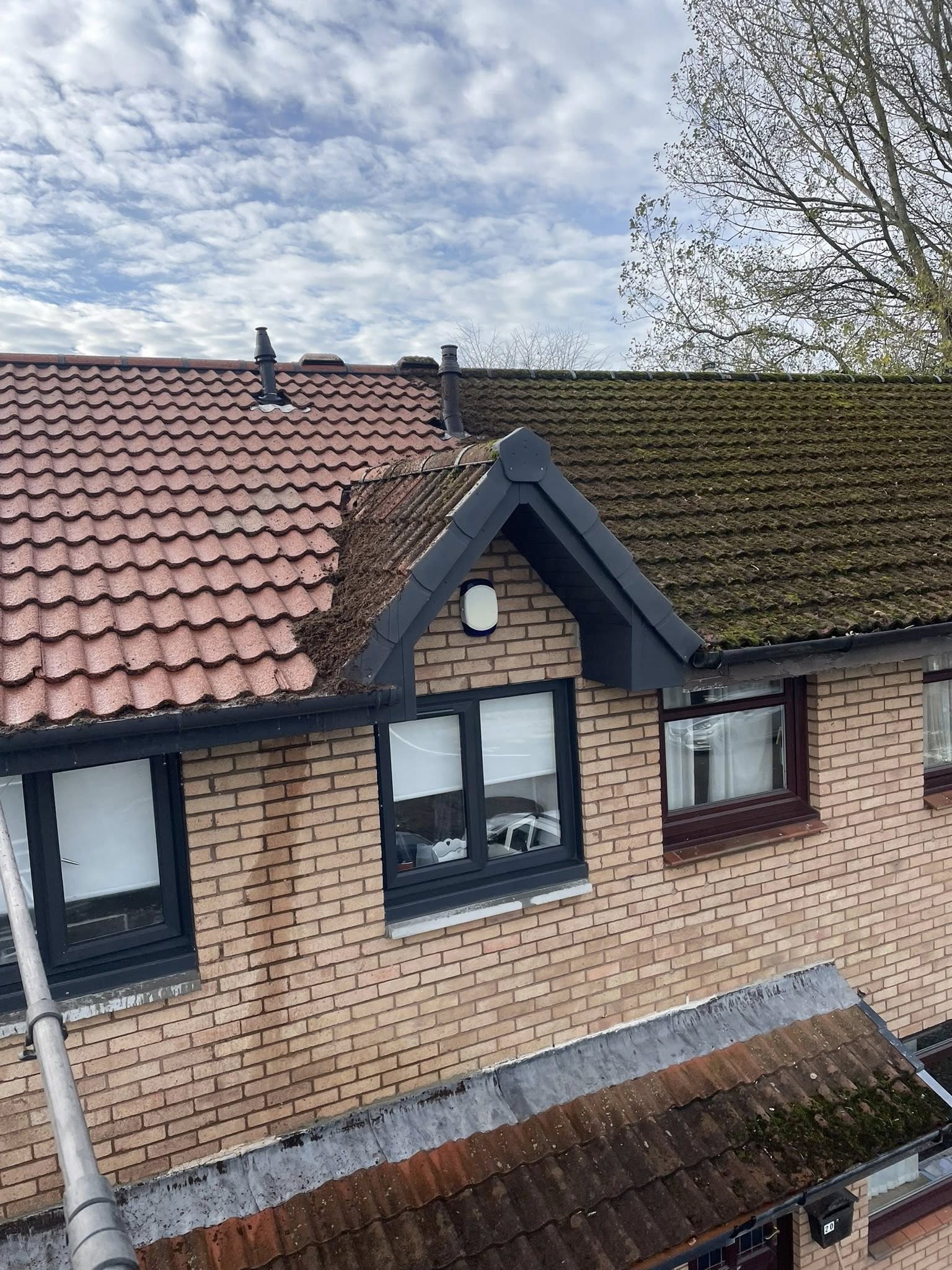 East Kilbride Roof Cleaning gallery photo 13